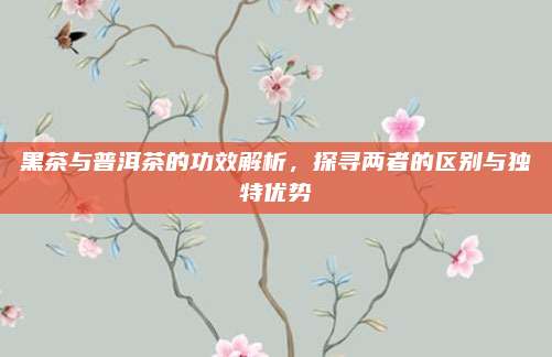 黑茶与普洱茶的功效解析，探寻两者的区别与独特优势