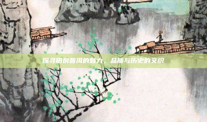 探寻田房普洱的魅力，品质与历史的交织