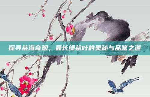 探寻茶海奇观，最长绿茶叶的奥秘与品鉴之道