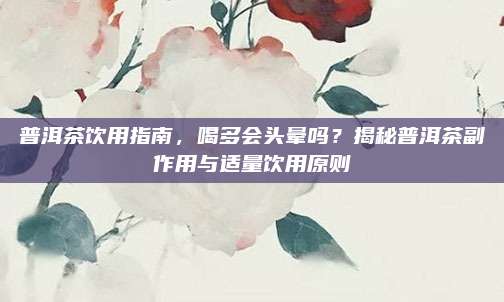 普洱茶饮用指南，喝多会头晕吗？揭秘普洱茶副作用与适量饮用原则