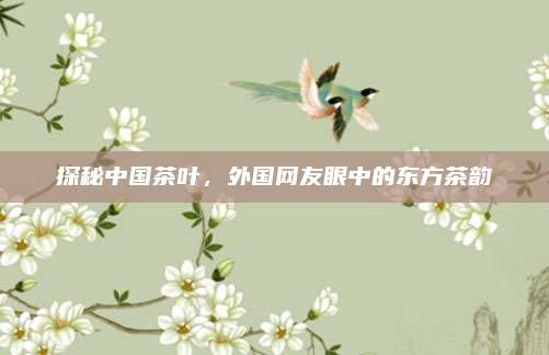 探秘中国茶叶，外国网友眼中的东方茶韵