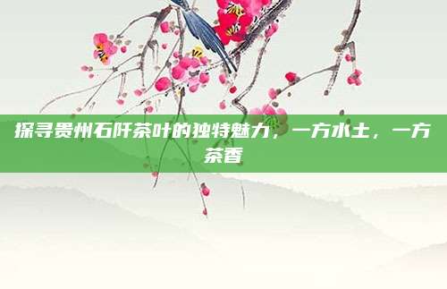 探寻贵州石阡茶叶的独特魅力，一方水土，一方茶香