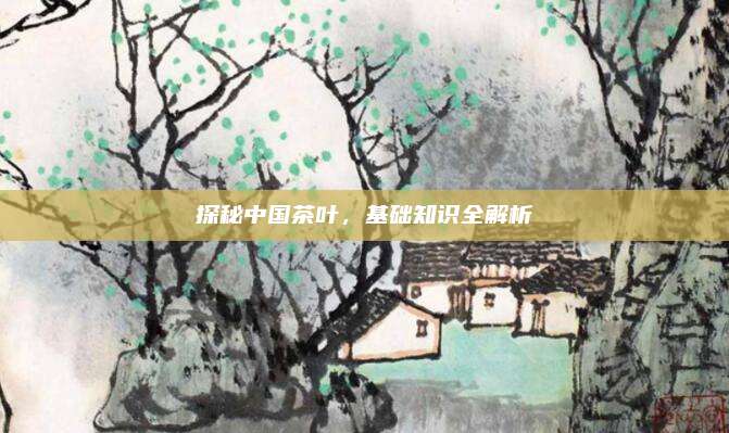 探秘中国茶叶,基础知识全解析