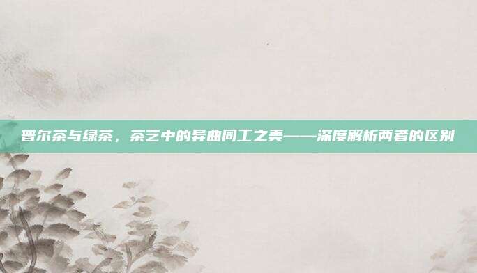 普尔茶与绿茶，茶艺中的异曲同工之美——深度解析两者的区别