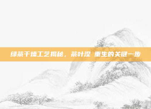 绿茶干燥工艺揭秘，茶叶涅槃重生的关键一步