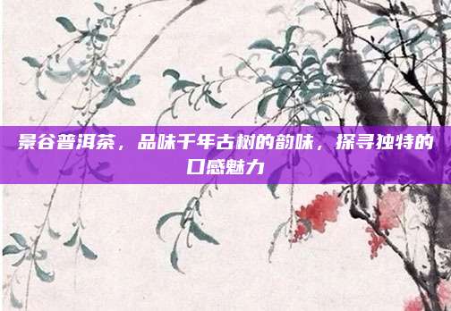 景谷普洱茶，品味千年古树的韵味，探寻独特的口感魅力