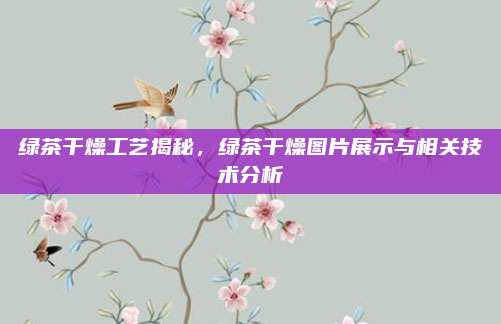 绿茶干燥工艺揭秘，绿茶干燥图片展示与相关技术分析