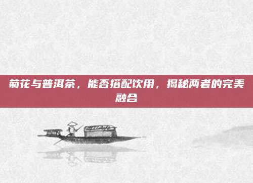 菊花与普洱茶，能否搭配饮用，揭秘两者的完美融合