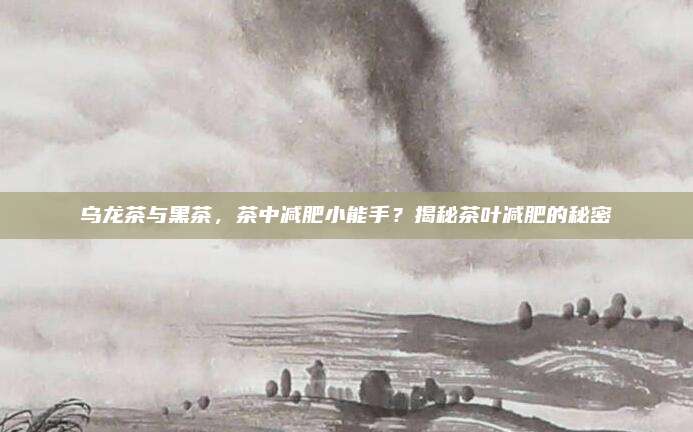乌龙茶与黑茶，茶中减肥小能手？揭秘茶叶减肥的秘密