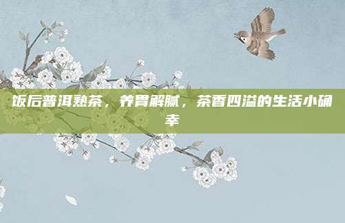 饭后普洱熟茶，养胃解腻，茶香四溢的生活小确幸