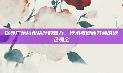 探寻广东梅州茶叶的魅力，传承与创新共舞的绿色瑰宝