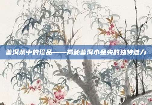 普洱茶中的珍品——揭秘普洱小金尖的独特魅力