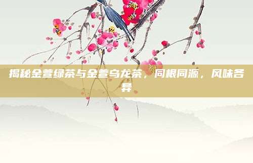 揭秘金萱绿茶与金萱乌龙茶，同根同源，风味各异