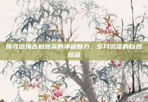探寻边境古树熟茶的神秘魅力，岁月沉淀的自然珍品