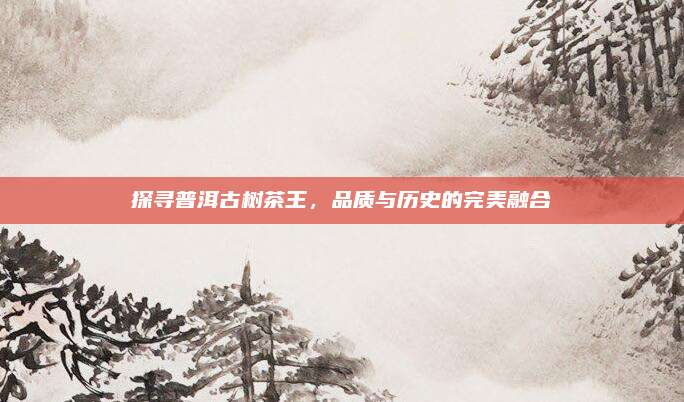 探寻普洱古树茶王，品质与历史的完美融合