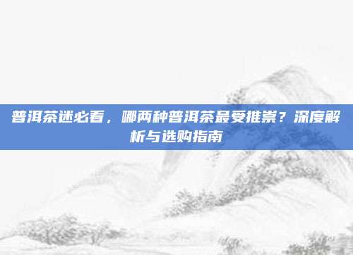 普洱茶迷必看，哪两种普洱茶最受推崇？深度解析与选购指南