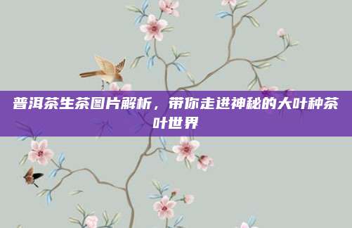 普洱茶生茶图片解析，带你走进神秘的大叶种茶叶世界