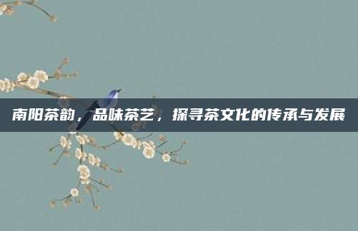 南阳茶韵，品味茶艺，探寻茶文化的传承与发展