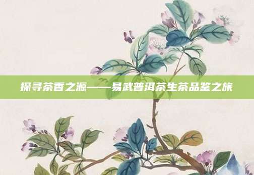 探寻茶香之源——易武普洱茶生茶品鉴之旅