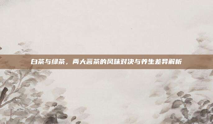白茶与绿茶,两大茗茶的风味对决与养生差异解析