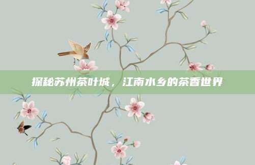 探秘苏州茶叶城,江南水乡的茶香世界
