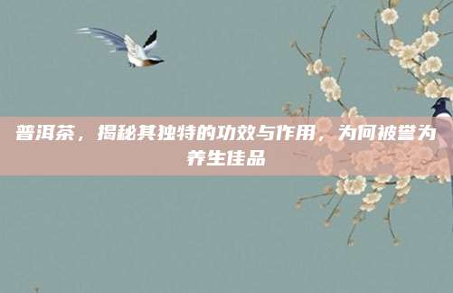 普洱茶，揭秘其独特的功效与作用，为何被誉为养生佳品