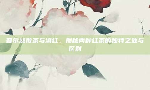 普尔熟散茶与滇红，揭秘两种红茶的独特之处与区别