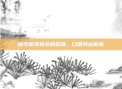 探寻普洱熟茶的韵味，口感特点解析
