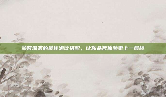 熟普洱茶的最佳泡饮搭配，让你品茗体验更上一层楼