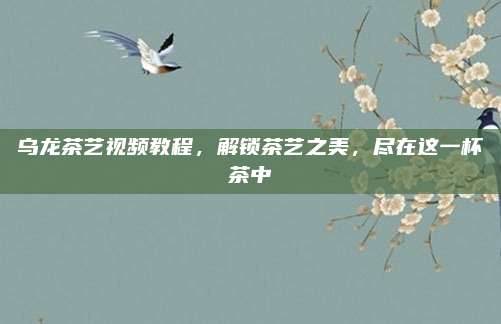 乌龙茶艺视频教程，解锁茶艺之美，尽在这一杯茶中
