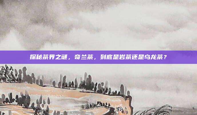 探秘茶界之谜，奇兰茶，到底是岩茶还是乌龙茶？