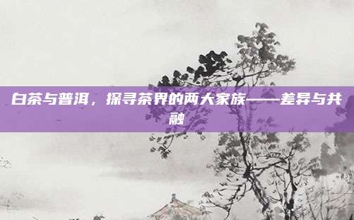 白茶与普洱，探寻茶界的两大家族——差异与共融