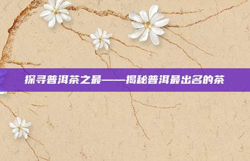 探寻普洱茶之最——揭秘普洱最出名的茶