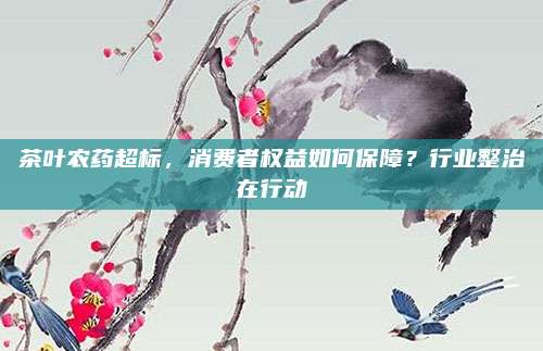 茶叶农药超标，消费者权益如何保障？行业整治在行动