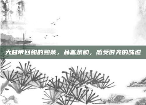 大益带回甜的熟茶，品鉴茶韵，感受时光的味道