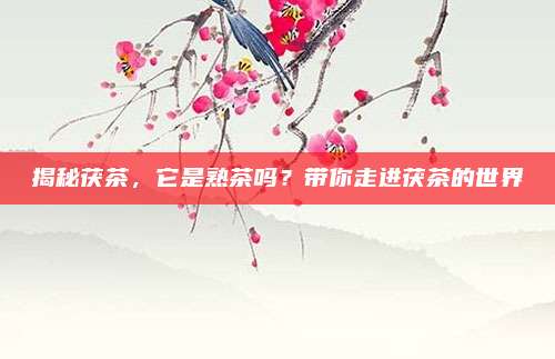 揭秘茯茶，它是熟茶吗？带你走进茯茶的世界