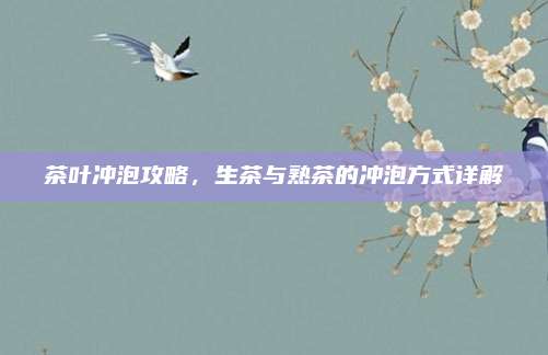 茶叶冲泡攻略，生茶与熟茶的冲泡方式详解