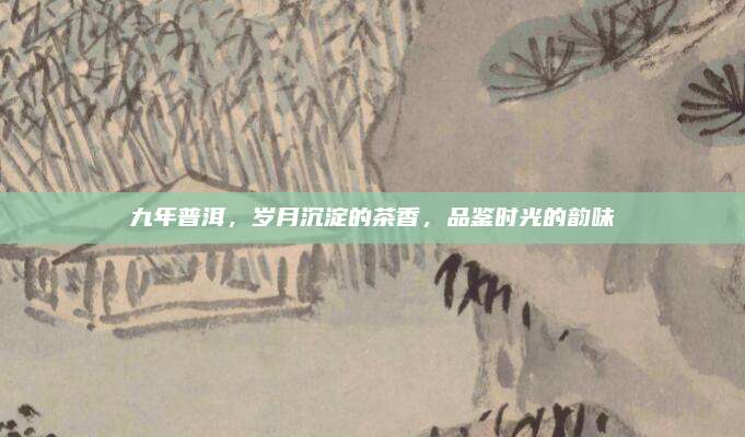九年普洱，岁月沉淀的茶香，品鉴时光的韵味