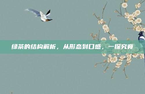 绿茶的结构解析，从形态到口感，一探究竟