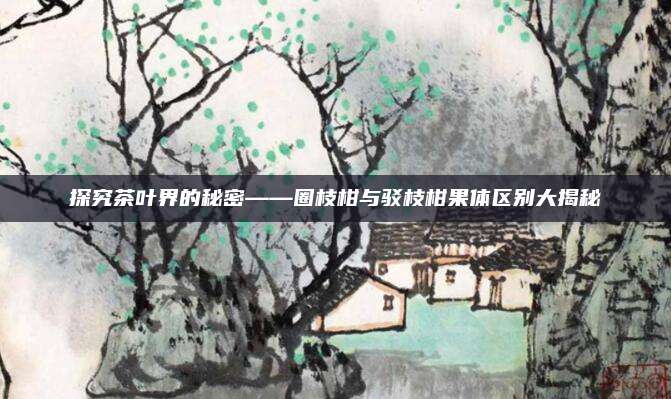 探究茶叶界的秘密——圈枝柑与驳枝柑果体区别大揭秘