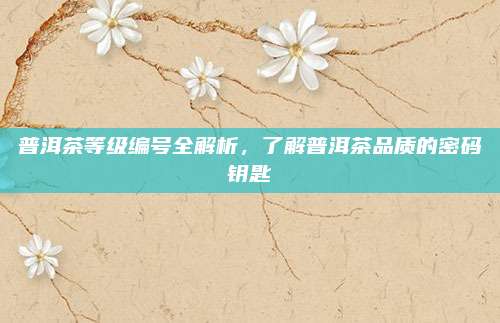 普洱茶等级编号全解析，了解普洱茶品质的密码钥匙
