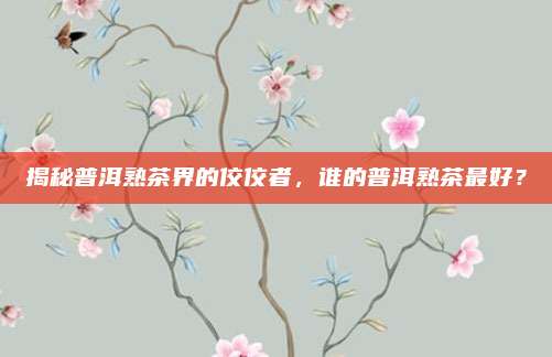 揭秘普洱熟茶界的佼佼者，谁的普洱熟茶最好？