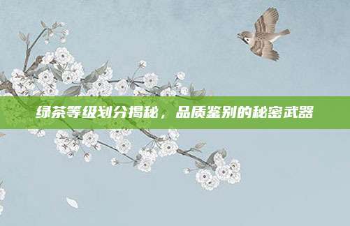 绿茶等级划分揭秘，品质鉴别的秘密武器