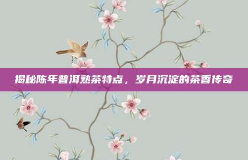 揭秘陈年普洱熟茶特点，岁月沉淀的茶香传奇