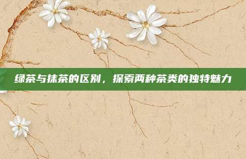 绿茶与抹茶的区别，探索两种茶类的独特魅力