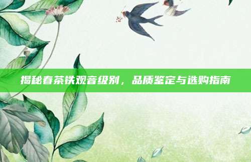 揭秘春茶铁观音级别，品质鉴定与选购指南