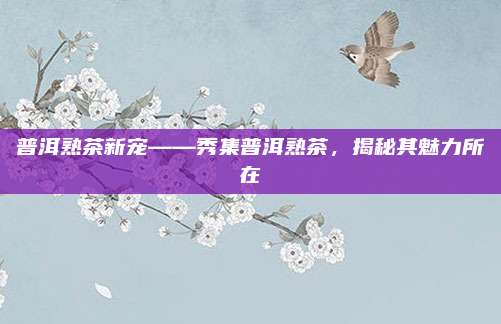 普洱熟茶新宠——秀集普洱熟茶，揭秘其魅力所在
