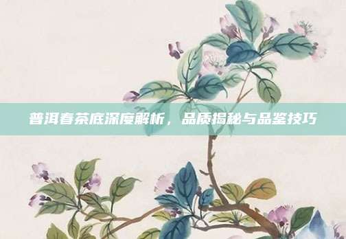 普洱春茶底深度解析，品质揭秘与品鉴技巧
