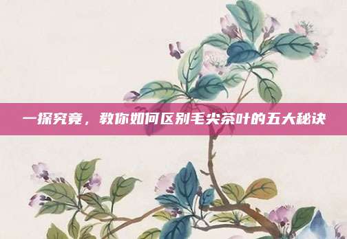 一探究竟，教你如何区别毛尖茶叶的五大秘诀