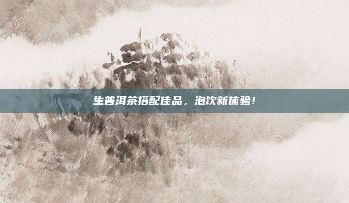生普洱茶搭配佳品，泡饮新体验！